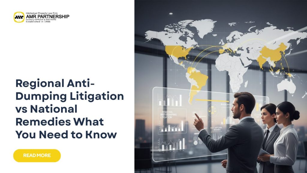 Regional anti-dumping litigation