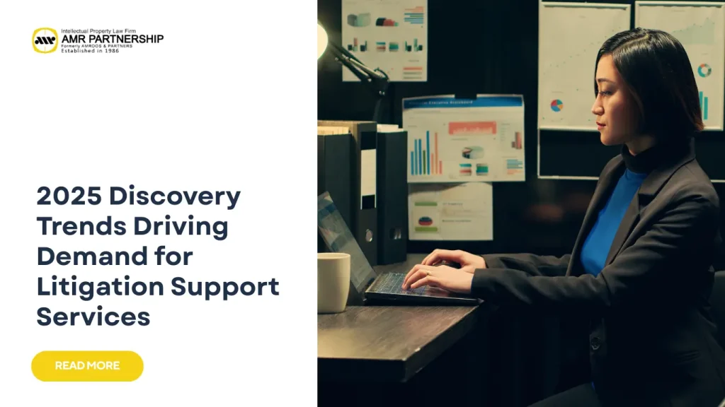 Litigation Support Services